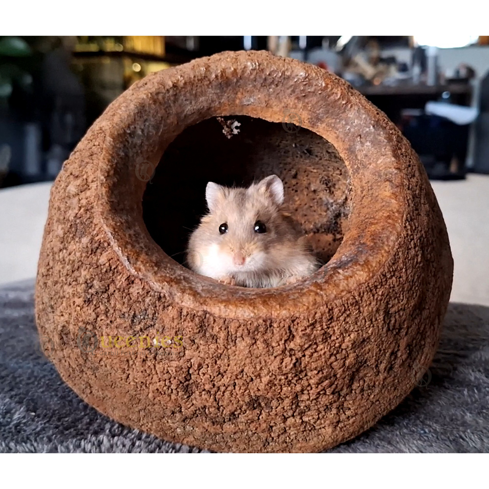 Hamster in Hamster hut