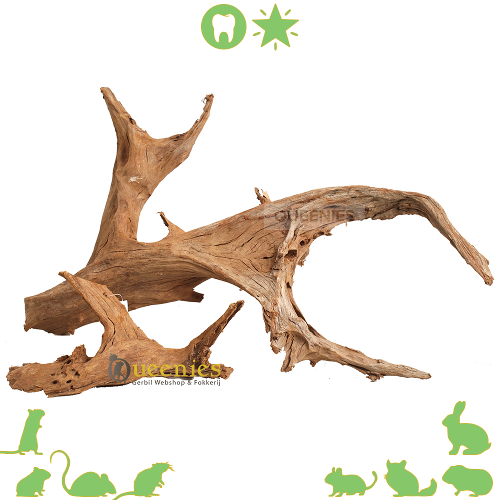 Mangrove wortel tot 45 cm - Voor natuurlijke Hamsterscaping