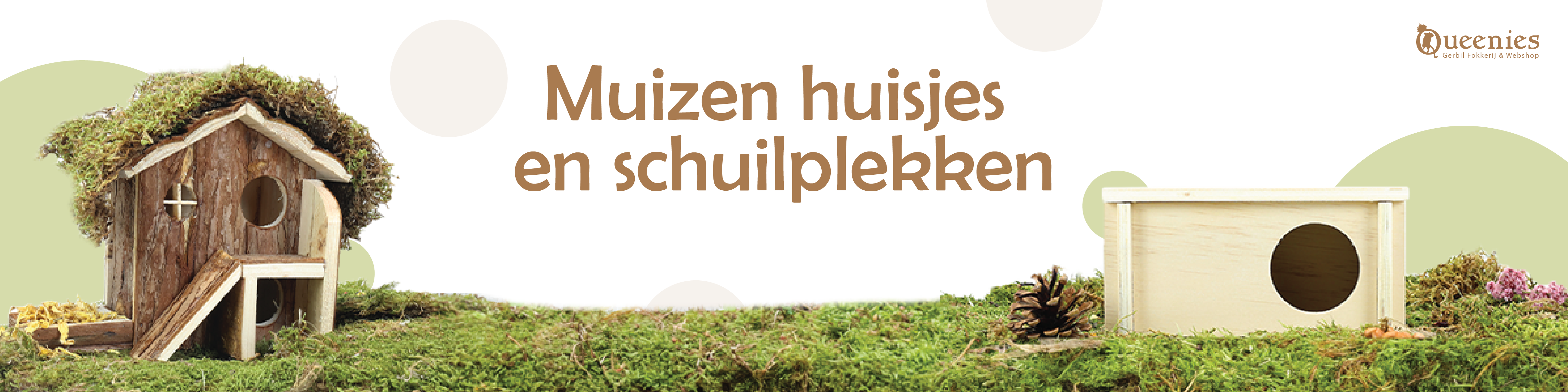 Muizen huisjes en schuilplekken