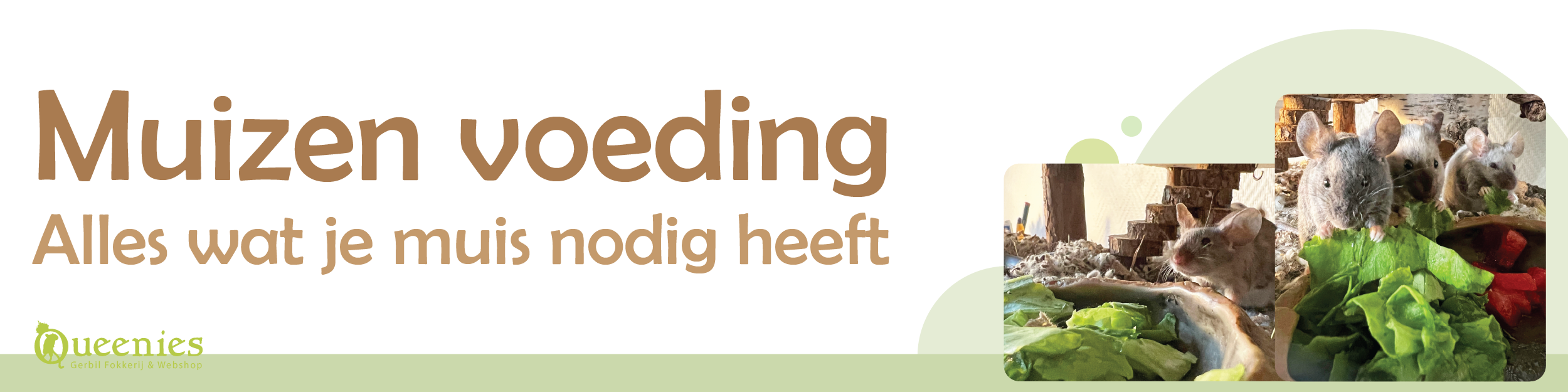 Voeding voor muizen kopen