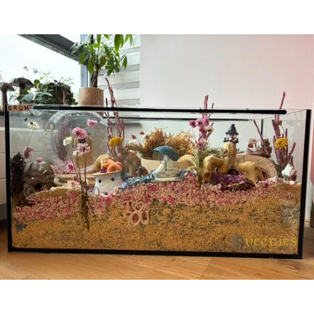 Producten voor Hamsterscaping