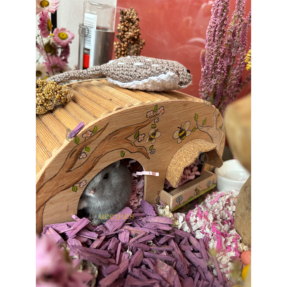 Color Wood – Kleur de Hamsterscape met gekleurde Bodembedekking voor Knaagdieren