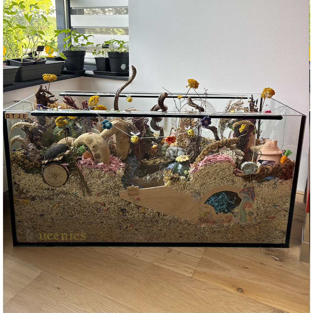 Terrarium voor Hamster met schuifruiten zonder plateaus - vast voorschot - Premium Queenies Terrarium