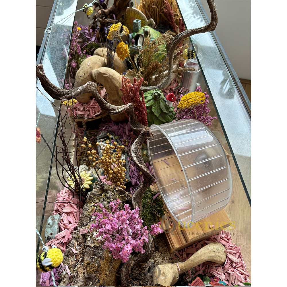 Roze Zeelavendel 60 cm - Gedroogde bloemen voor Knaagdieren