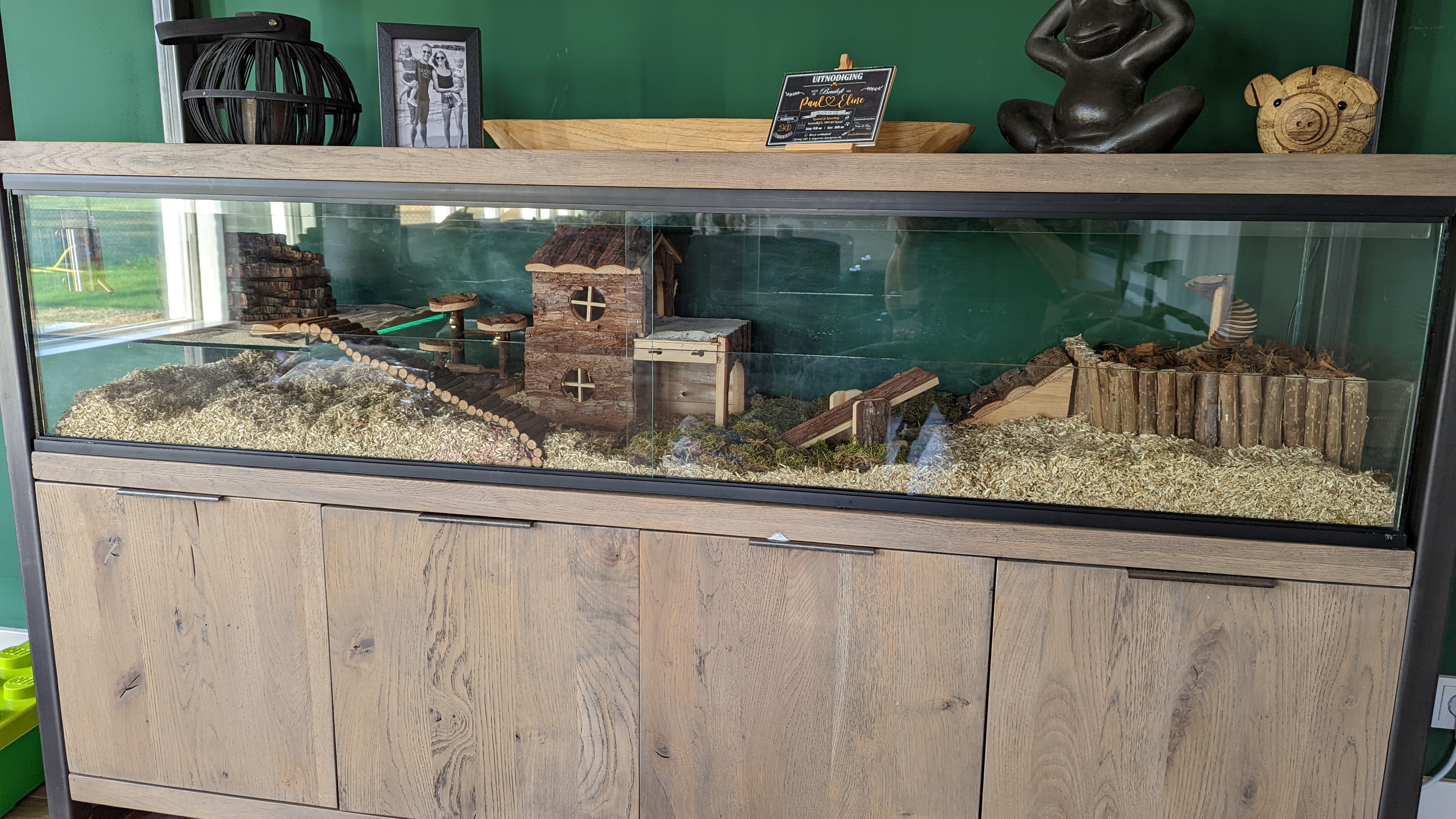 Terrarium op maat