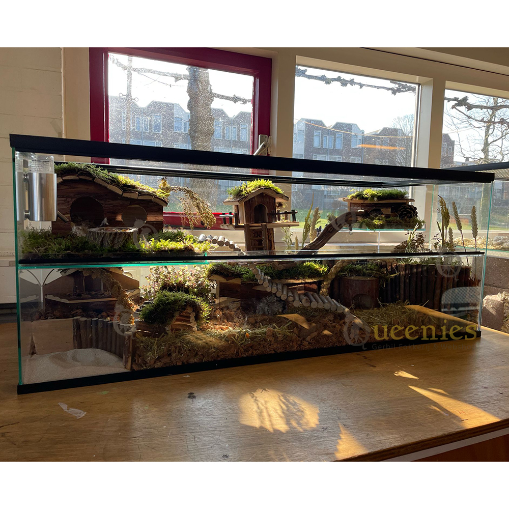 Terrarium Mos voor Knaagdieren