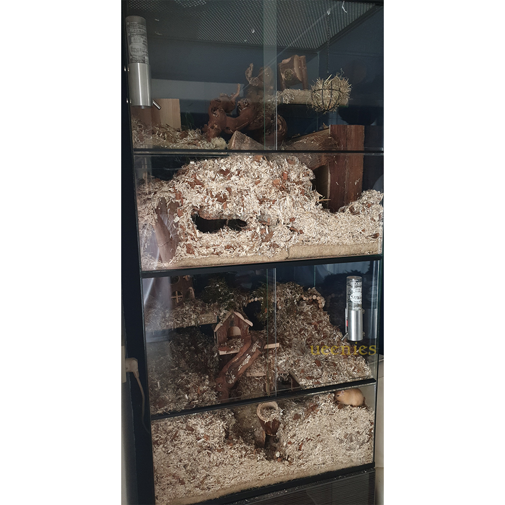 Mini Hemp 48 liter gaat langer mee dan andere grondbedekkers voor knaagdieren