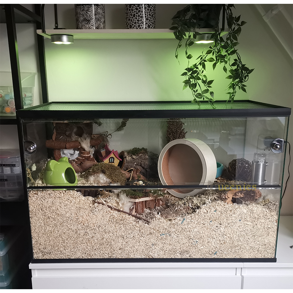 Terrarium voor Hamster met schuifruiten zonder plateaus - vast voorschot - Premium Queenies Terrarium