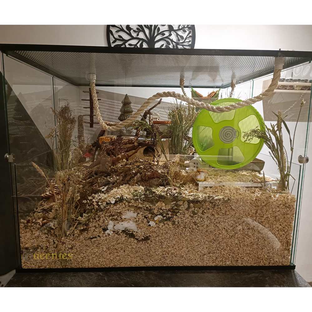 Touw Zitstok voor Knaagdieren