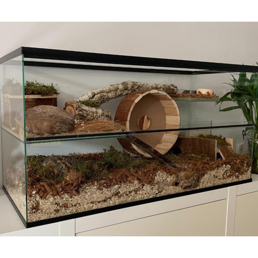 Houten renrad voor Goudhamster - Met gesloten loopvlak