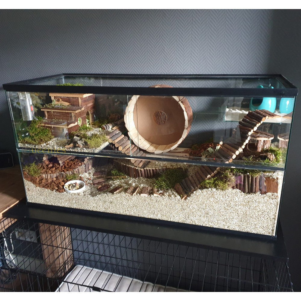 Houten renrad voor Goudhamster - Met gesloten loopvlak