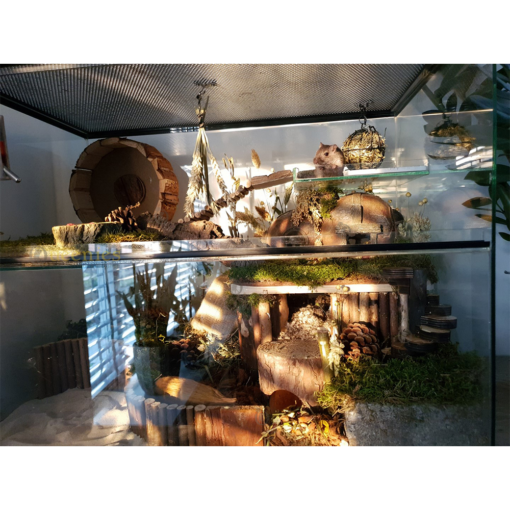 Houten Renrad 23 cm voor Gerbils en Dwerghamsters