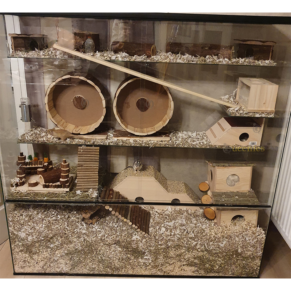 Grote Boostam Tunnel