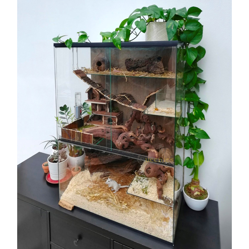 Wijnrank gezandstraald, XL