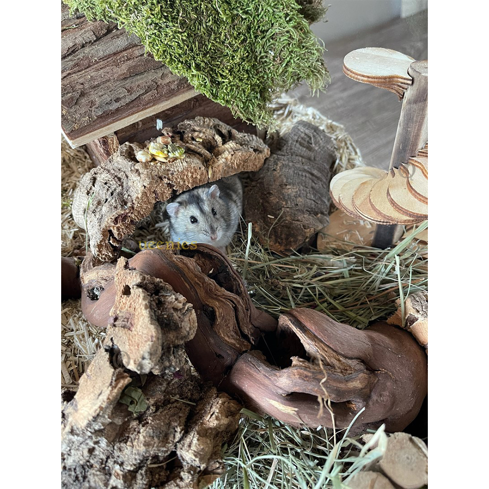 Wijnrank gezandstraald, M