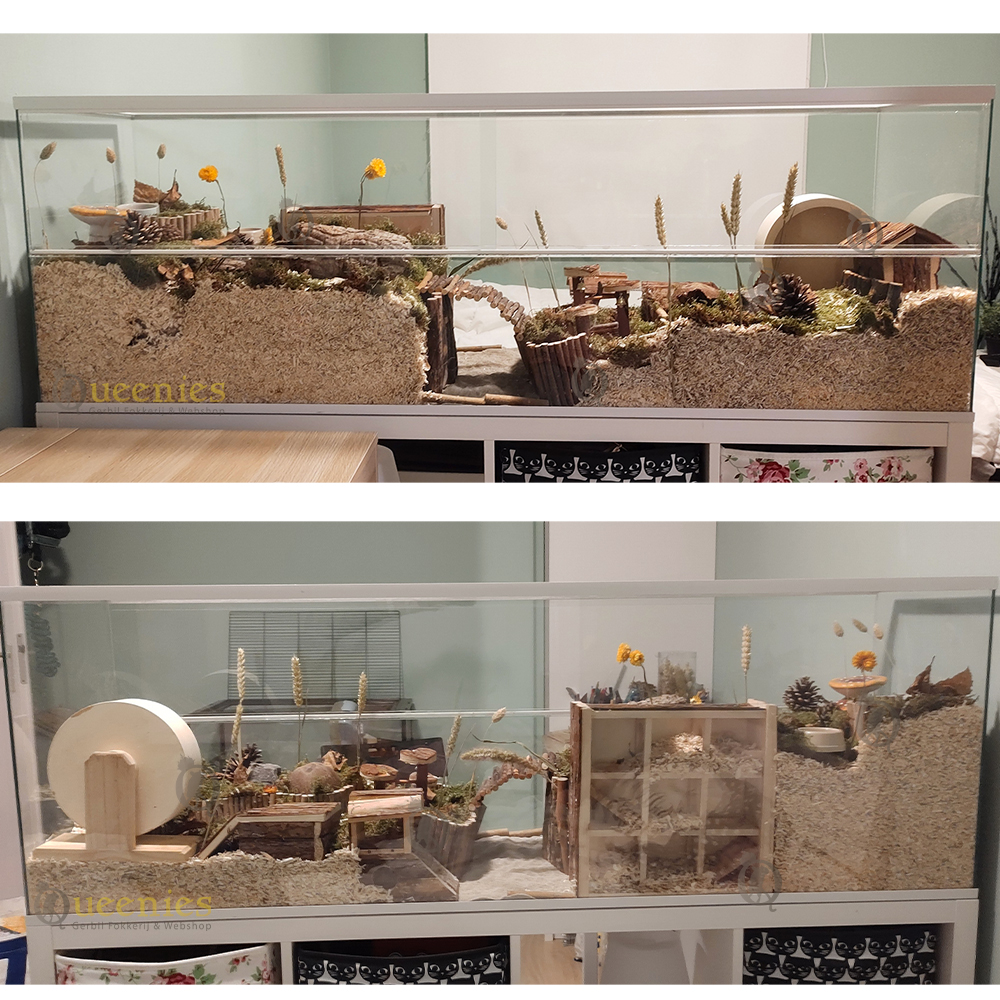 Terrarium met witte profielen