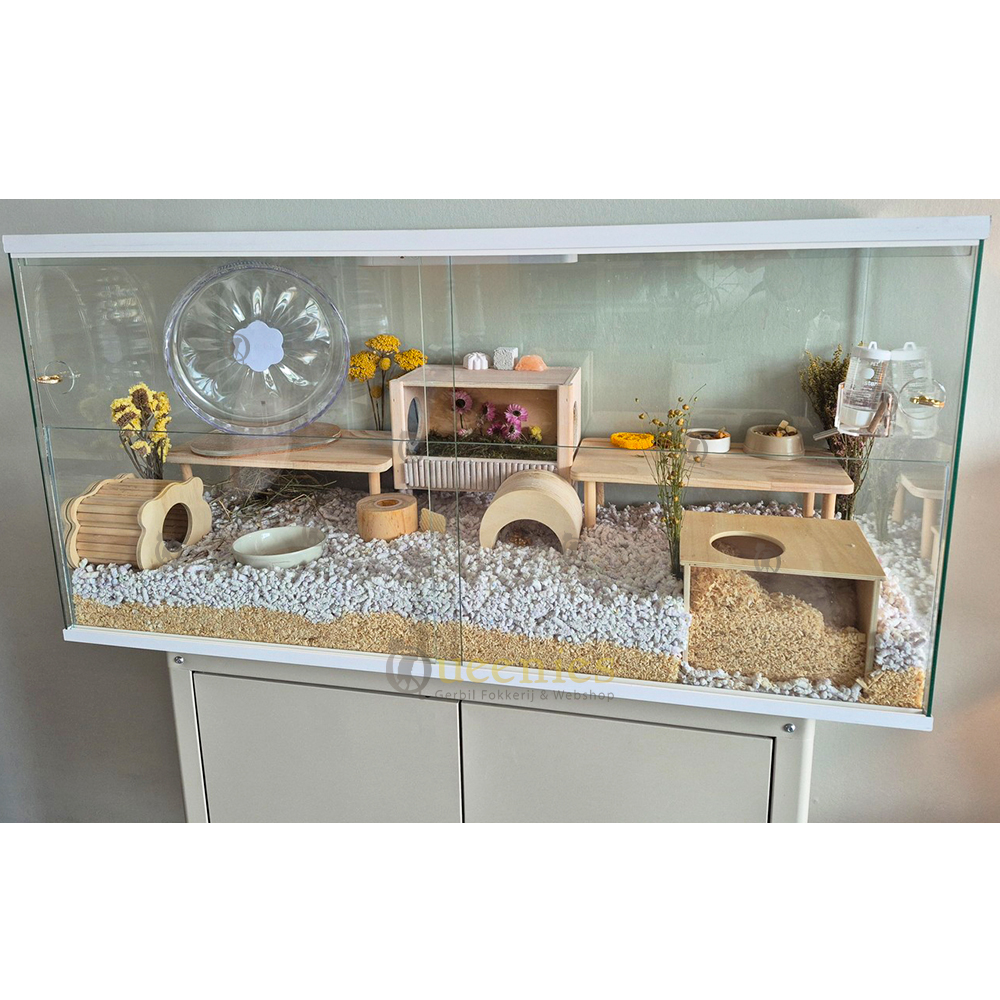 Knaagdieren Terrariums