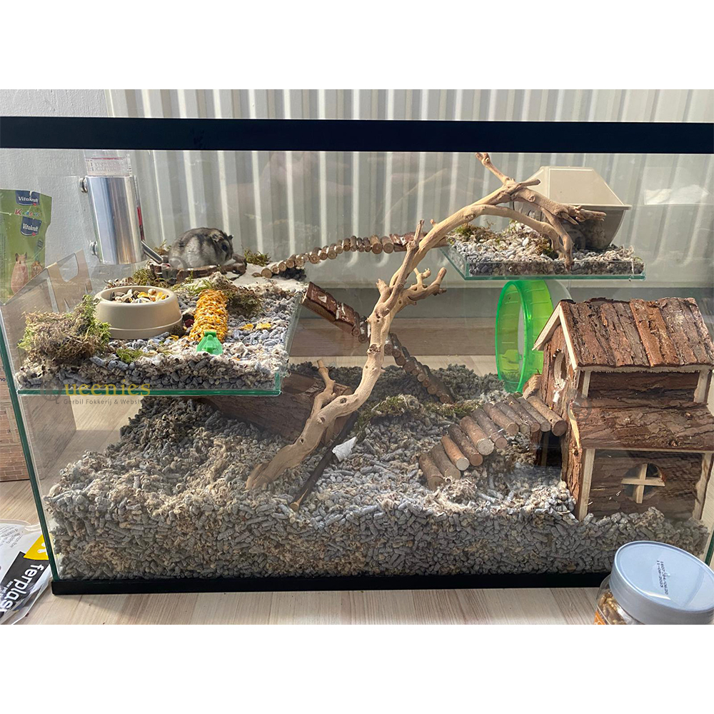 decoratie Forest Branch M