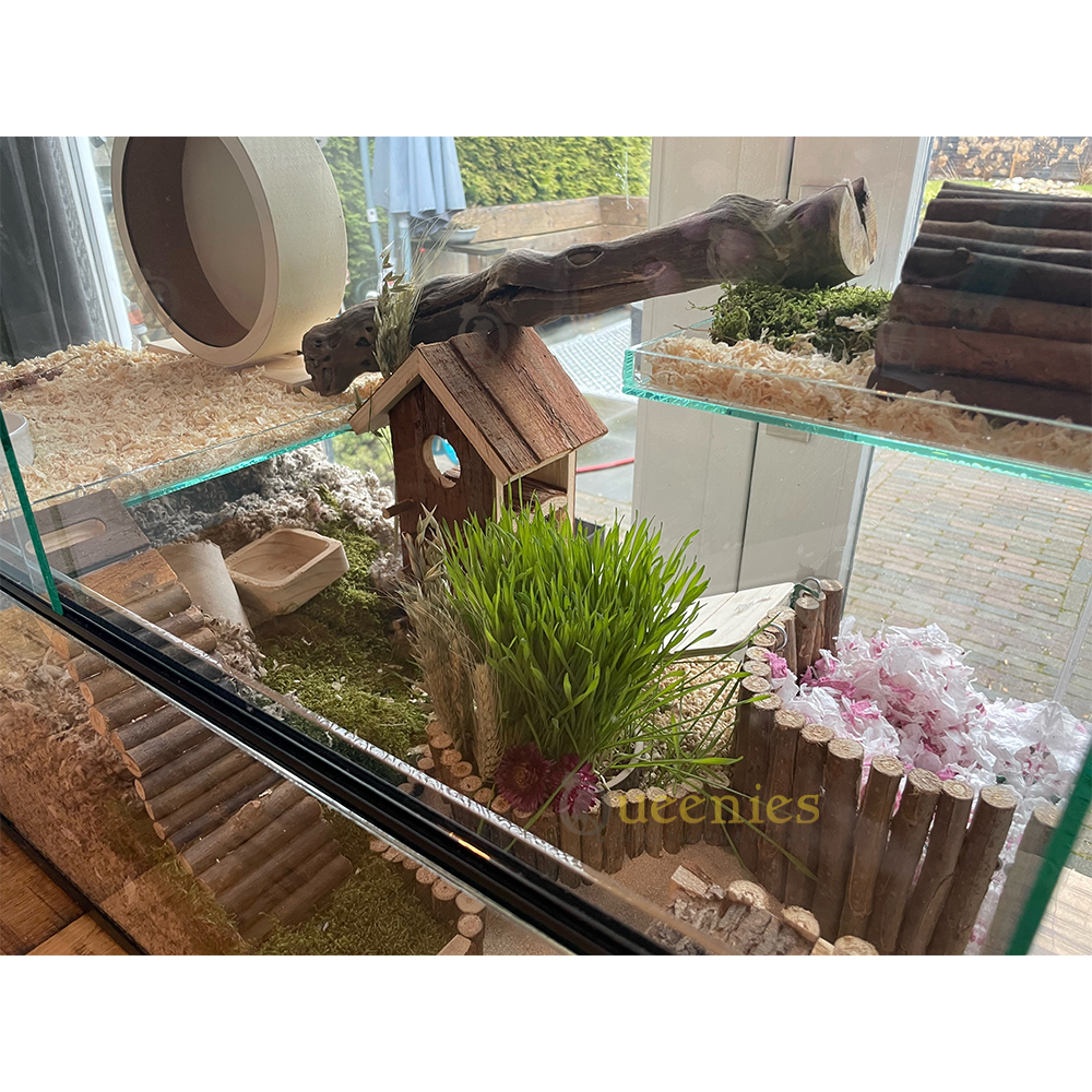 Mos verwerkt in Hamsterscaping
