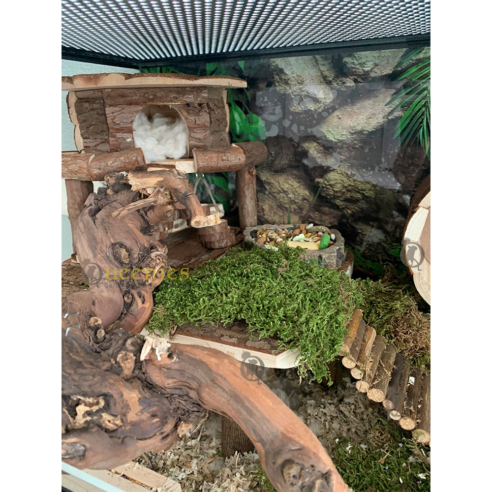  Wilgenbrug M is de middelste maat en past eigenlijk in ieder gerbilarium