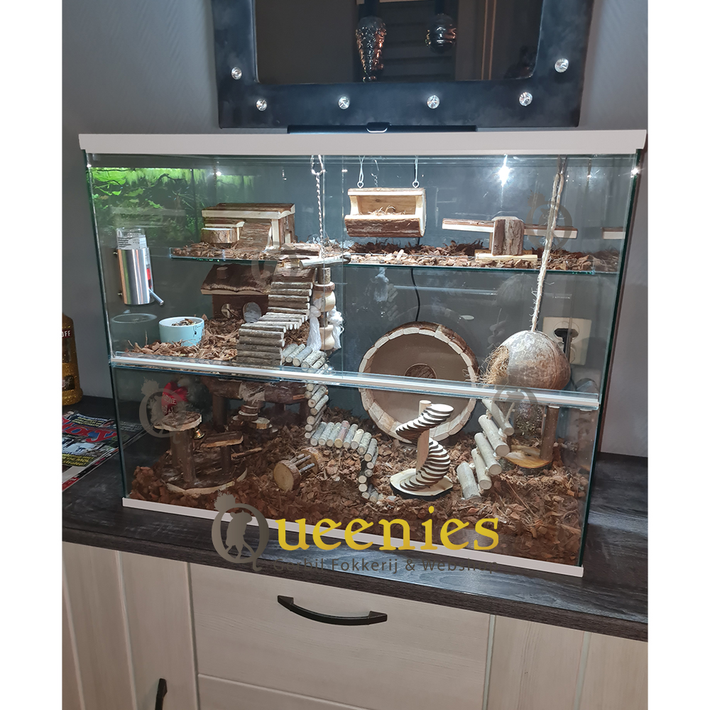 Hangende Schommelbank 13 cm