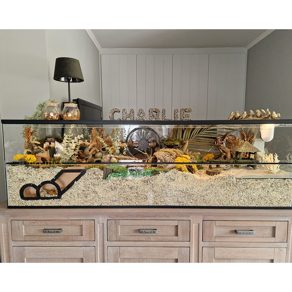 Hamster Watchbox Hamster- DIY Watchbox voor Knaagdieren