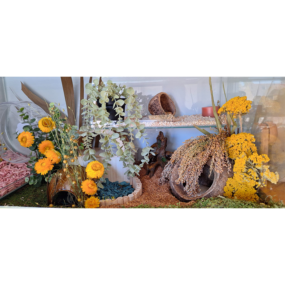 Goudstrobloem 45 cm - Bloemenverrijking