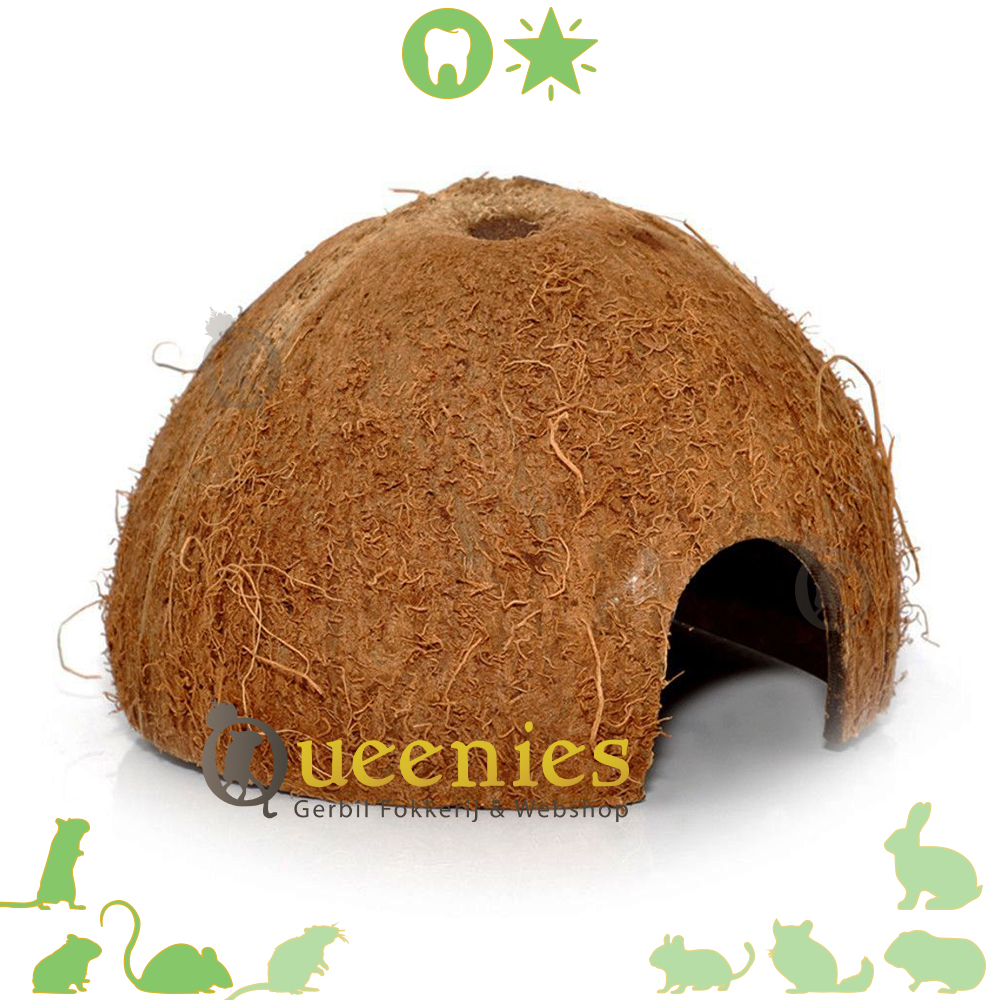 Kokosnoten holletjes
