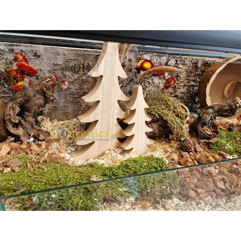 Kerst thema voor een Knaagdieren Terrarium