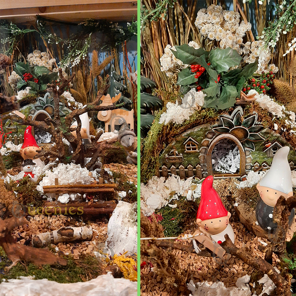 Planten gebruiken in Hamsterscaping