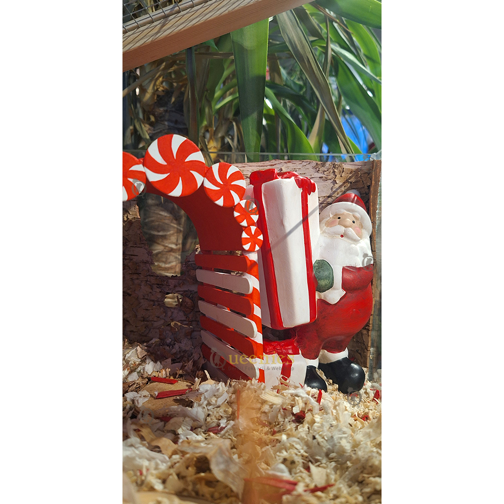 Kerstman met decoratie