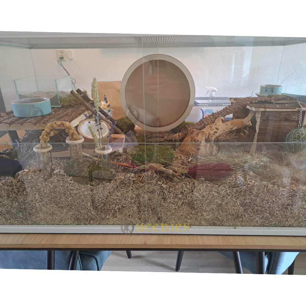 Houten loopwiel 28 cm voor Gerbils en middelgrote knaagdieren