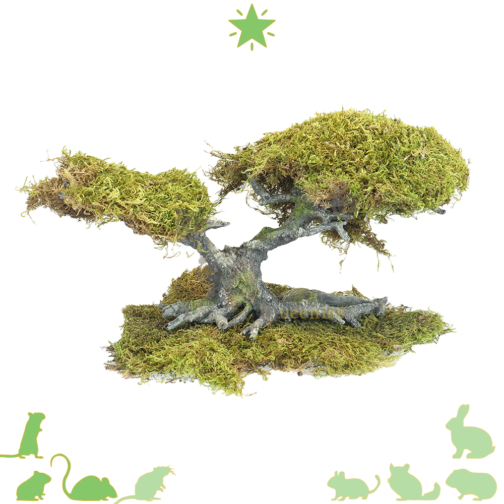 Bonsai boom met Mos