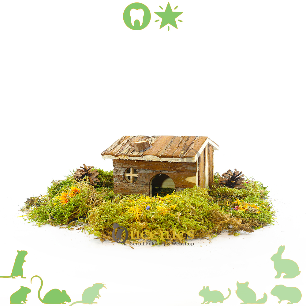 Boerderij huisje Hendrik voor Gerbils of andere kleine Knaagdieren