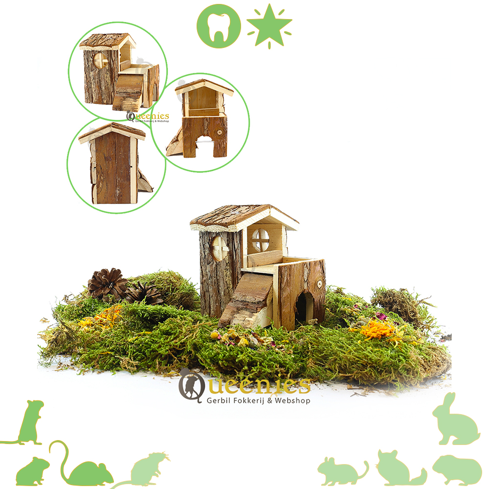 Houten Knaagdieren huisje