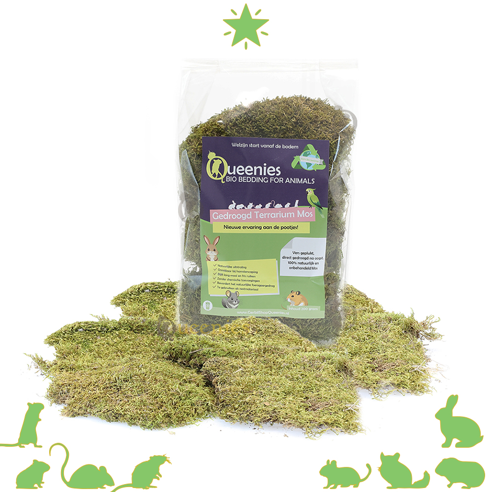 Gedroogde terrarium mos