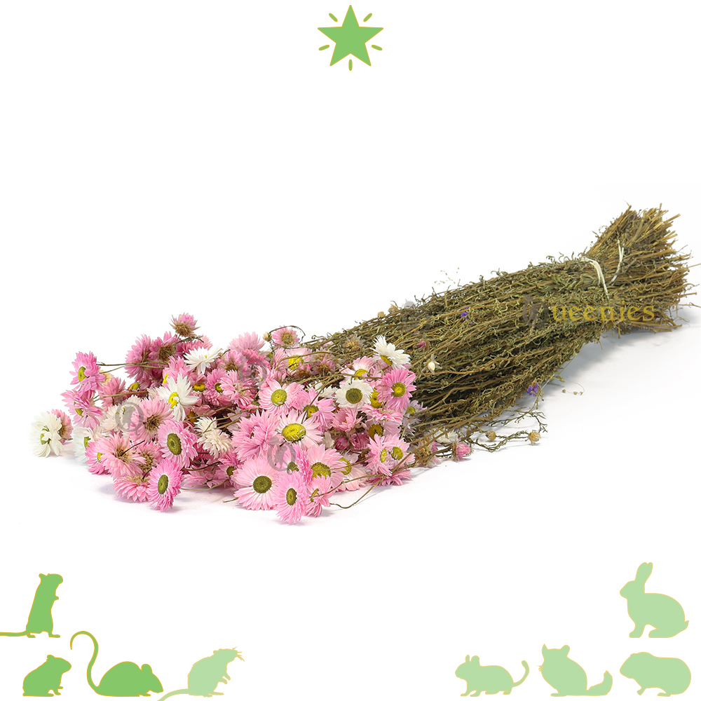 Zonnestrobloemen mix wit en roze