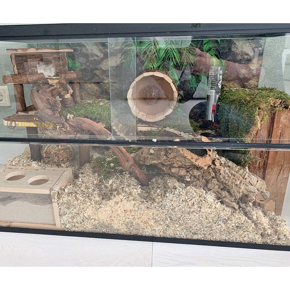 Ruime zandbak voor Gerbils en Hamsters