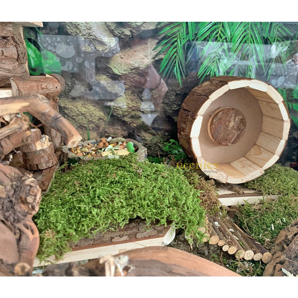 Houten renrad voor Goudhamster - Met gesloten loopvlak