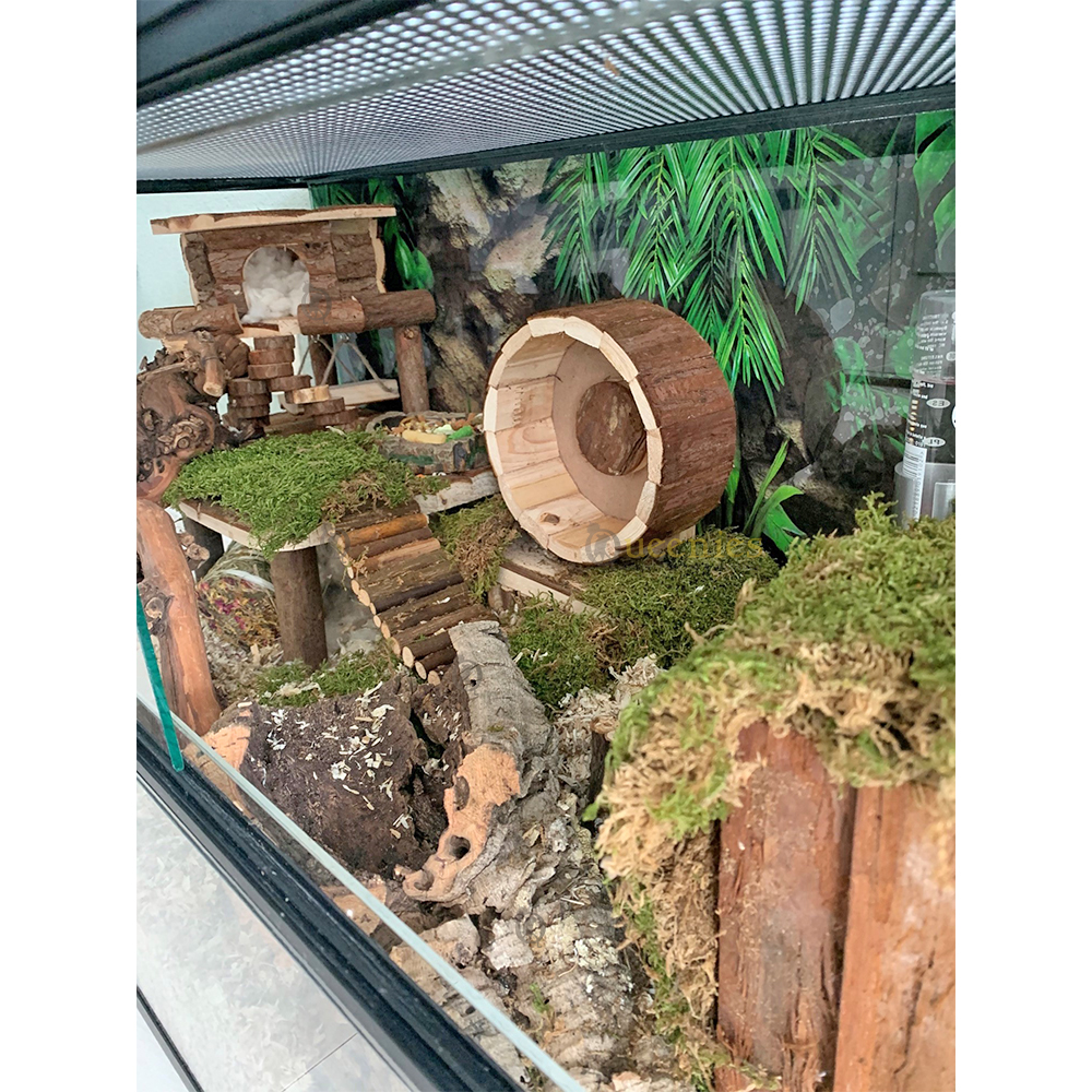 Plateau van hout - Houten plateau voor knaagdieren