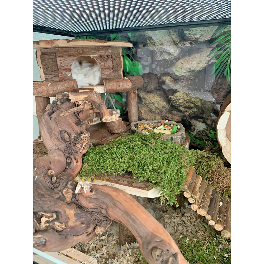 Huisje Ida - Knaagdier huisje met verhoging