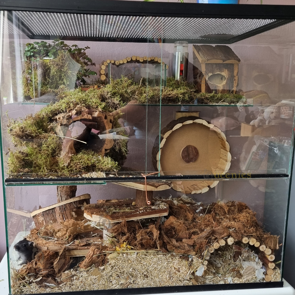 3 Dubbel Plateau van hout - Multifunctionele Houten plateaus