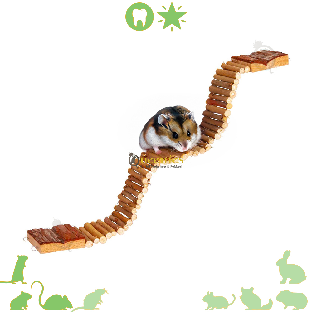Buigzame ladder