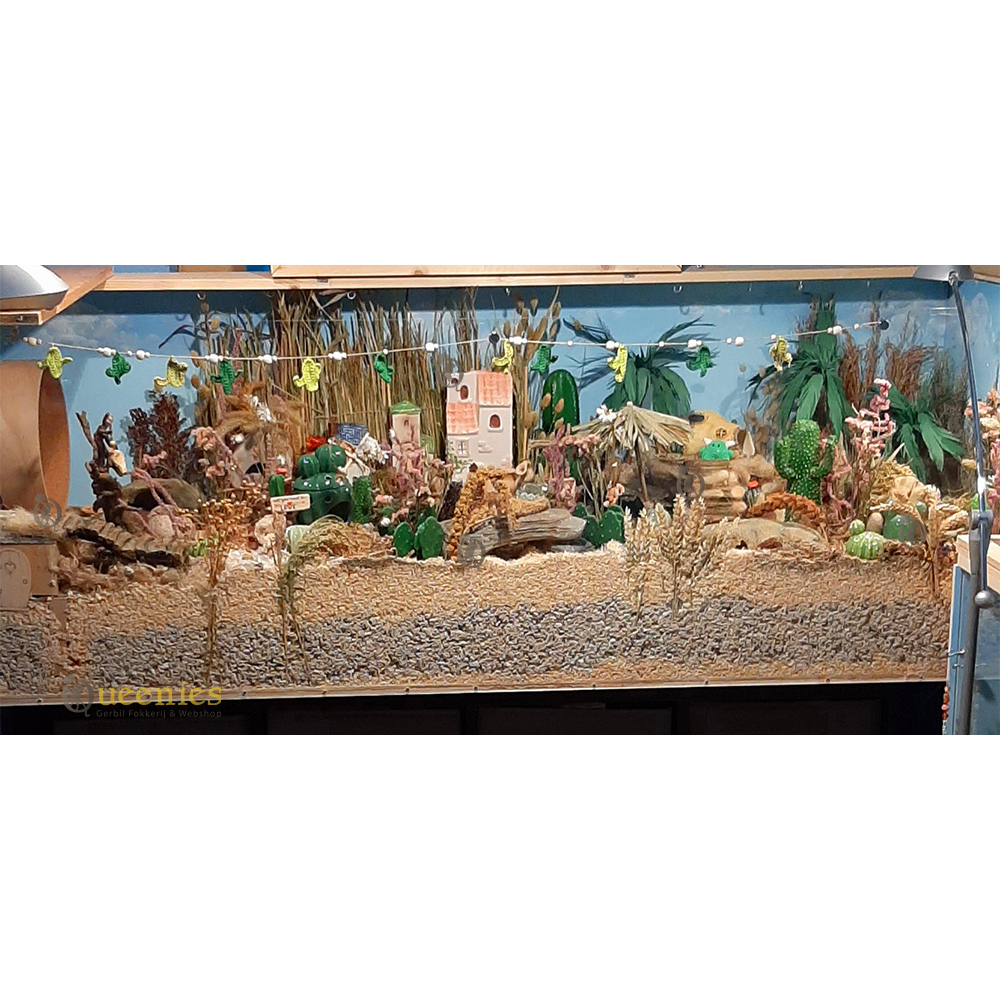 Terrarium voor Hamsters