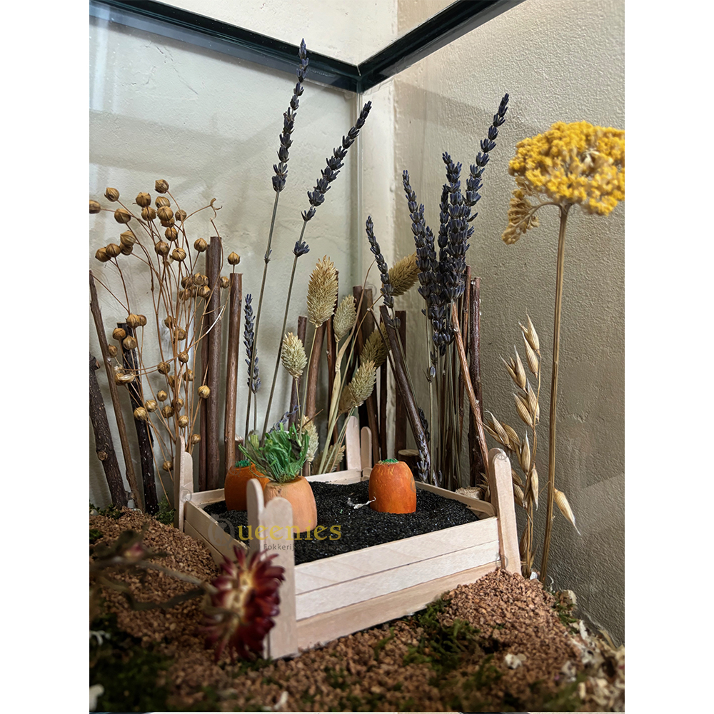 Gedroogde lavendel bos