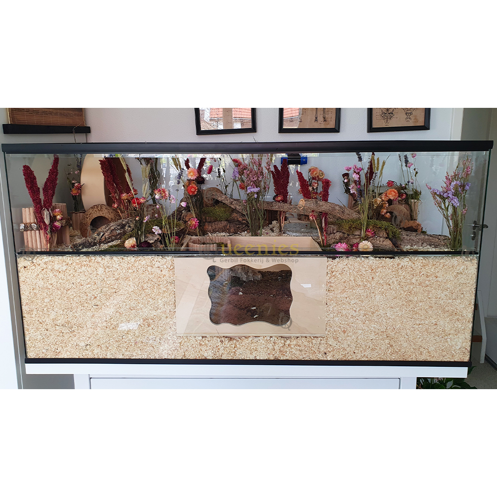 Takken gebruikt in Hamsterscape