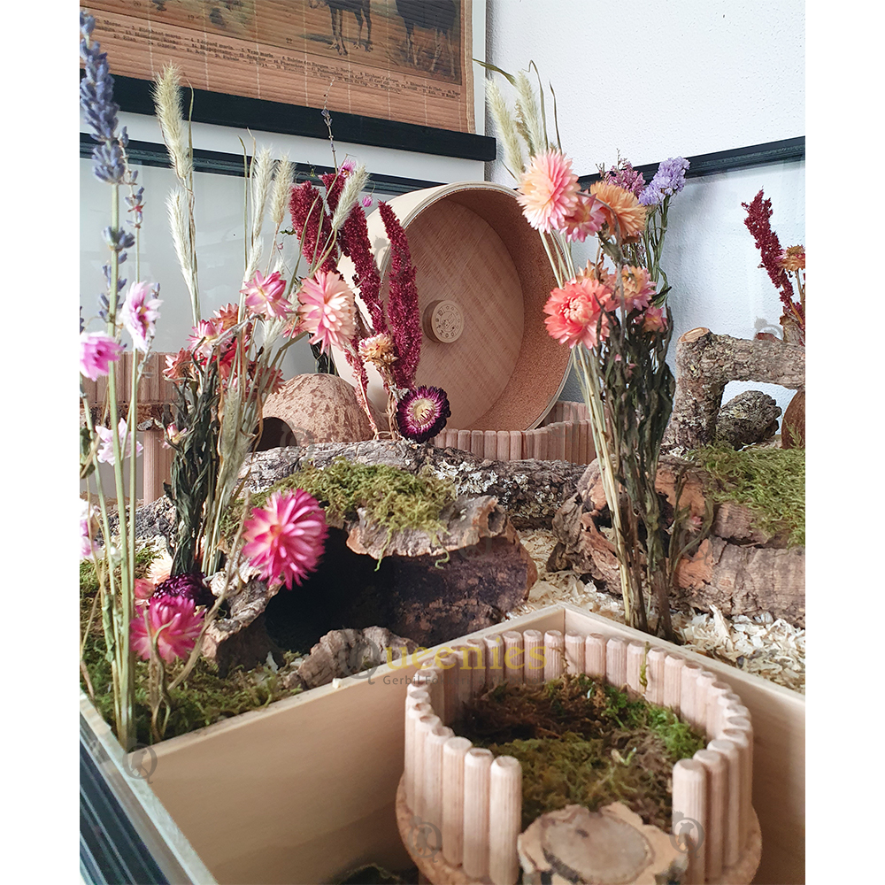 Bloemen mix voor Hamsterscaping