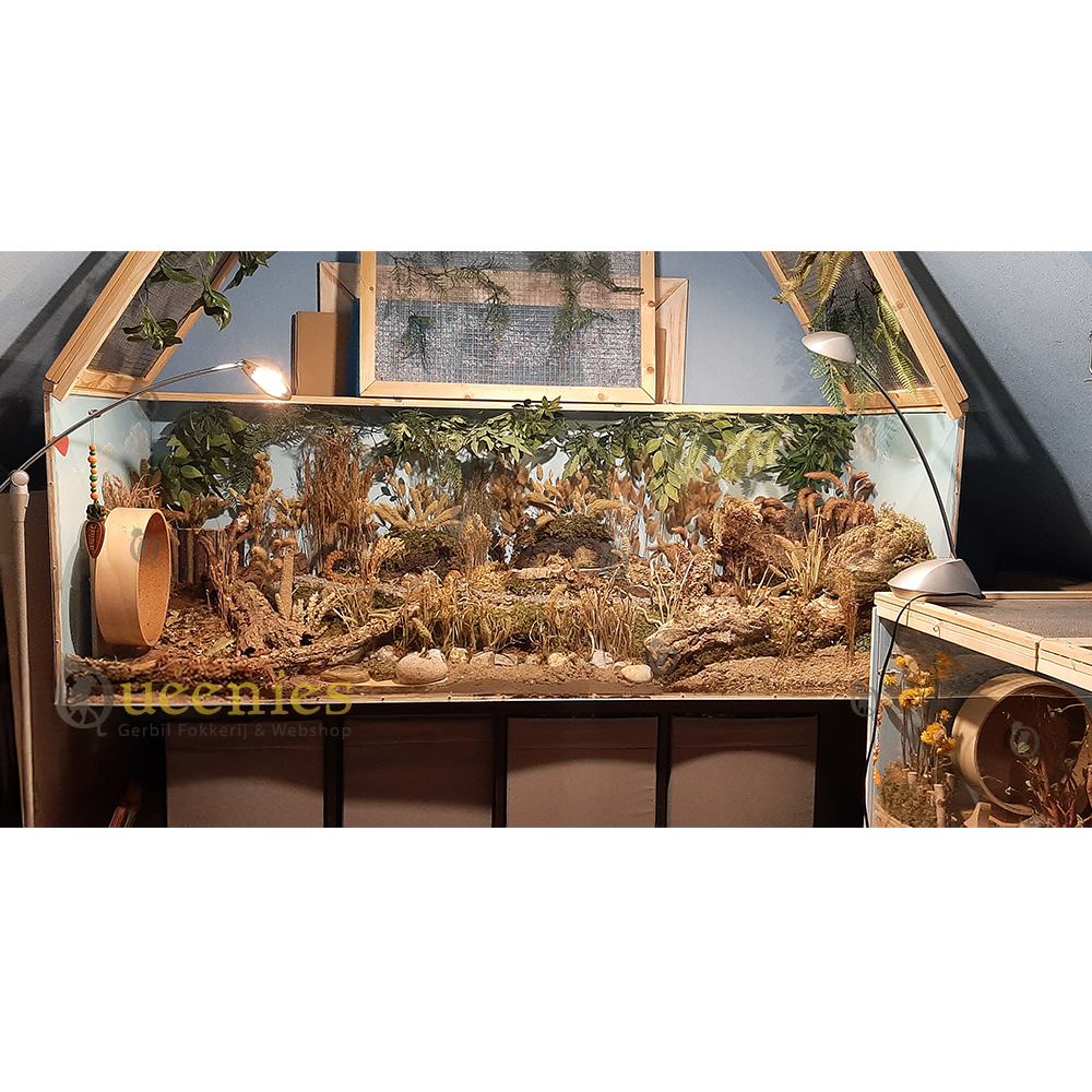 Takken en hout voor Hamsterscaping