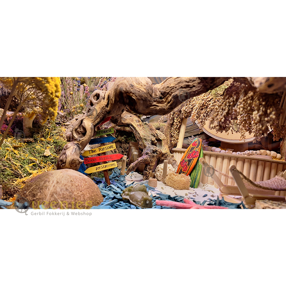 Takken en stukken hout voor Hamster Terrarium