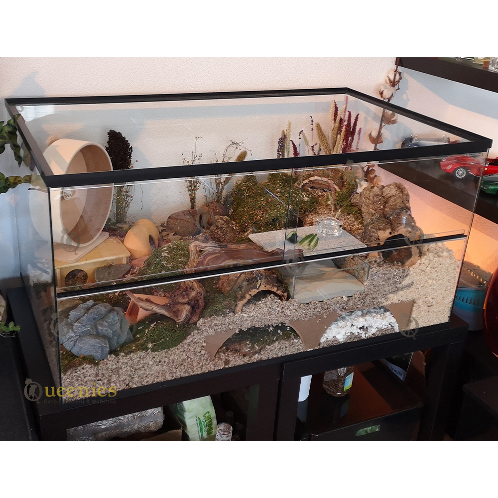 Takken voor Hamsterscaping